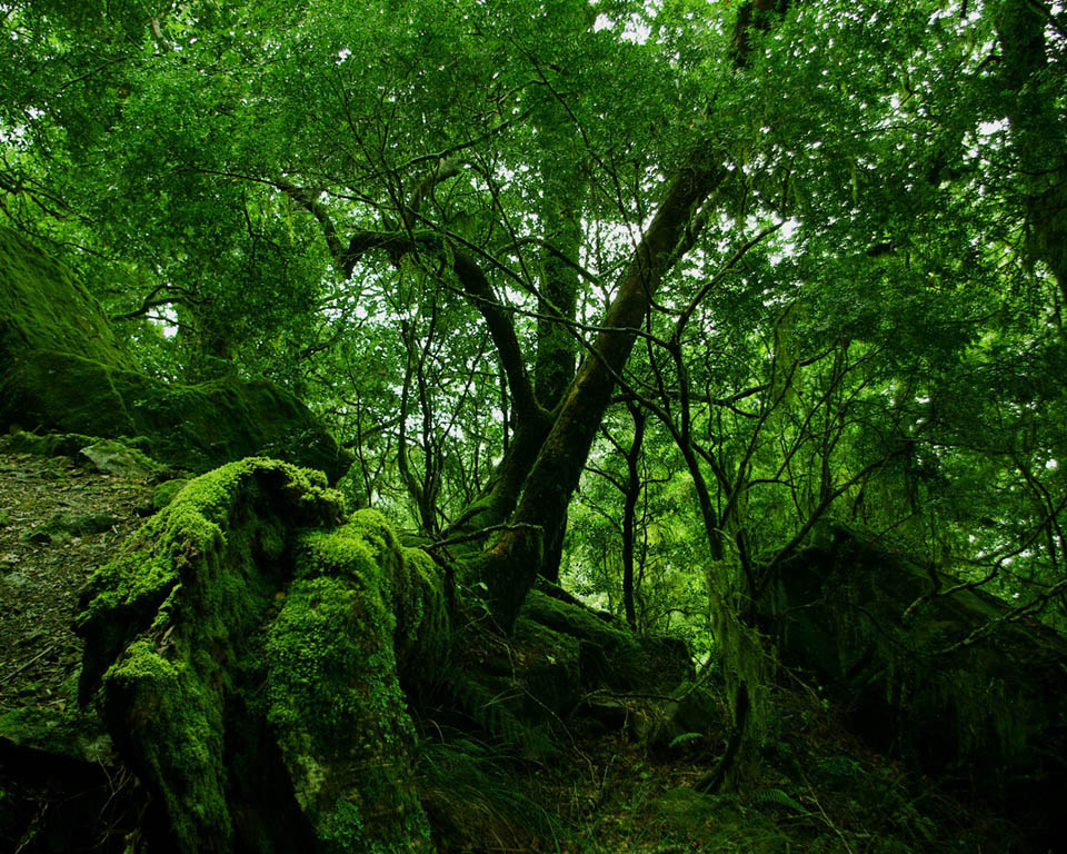 earth