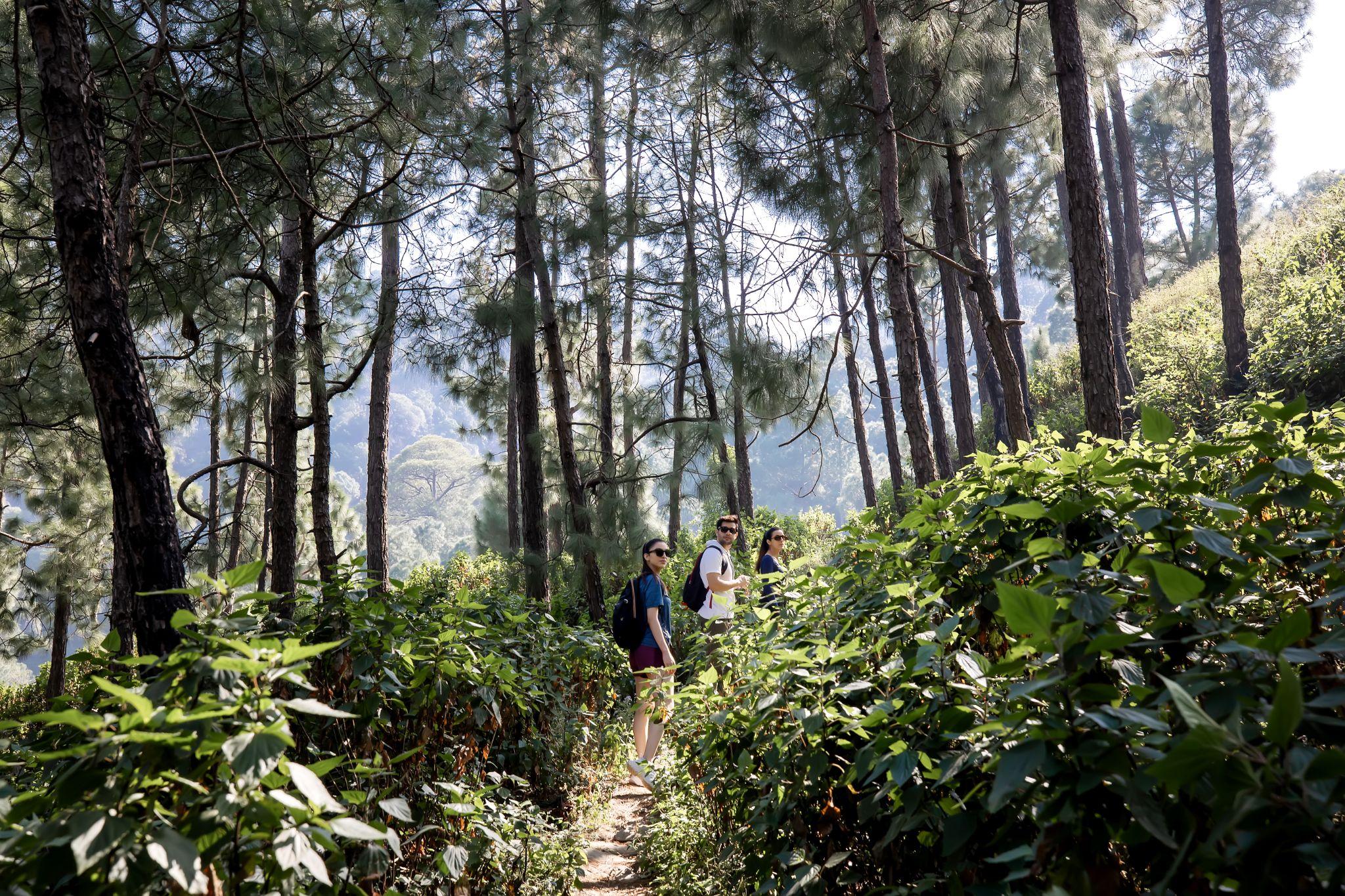 Family Wellness Retreats to Enjoy and Explore with Your Loved Ones-Image 7
