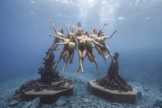 Australia Protecting the Marine Life of 3 Oceans-Image 4