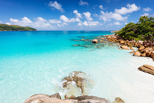 Safeguarding Seychelles Marine Conservation Efforts-Image 3