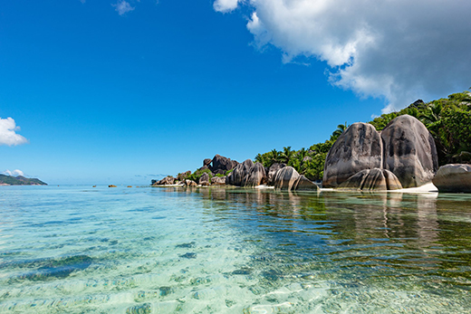 Safeguarding Seychelles Marine Conservation Efforts-Image 5