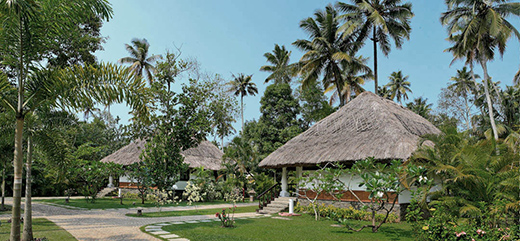Discovering India's Top 12 Luxury Spas-Image 1