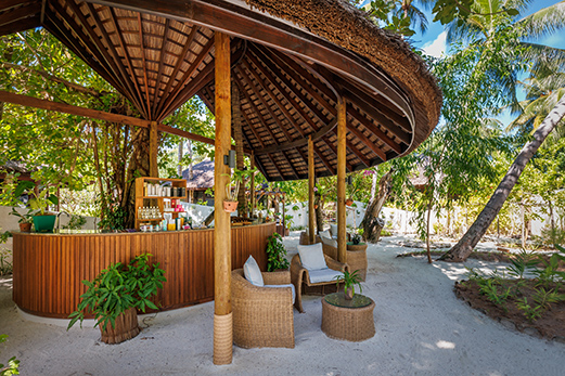 Find your Zen & Create Home Care Potions at this Wellness Haven-Image 1