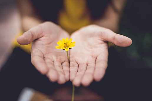 The Art of Graceful Change Empowering Women Through Menopause-Image 1