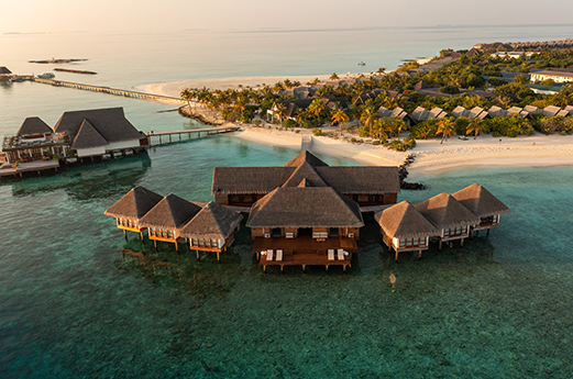 The Barefoot Island Life-Image 3