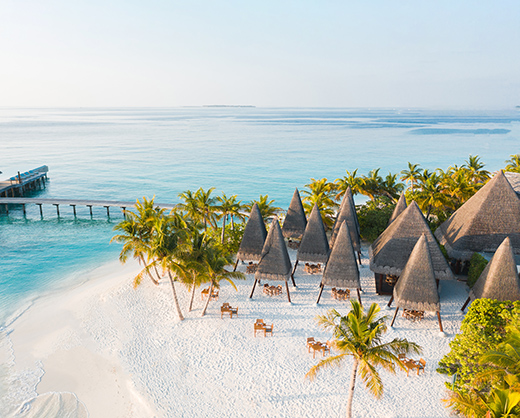 The Barefoot Island Life-Image 5