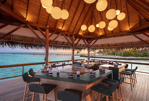 The Barefoot Island Life-Image 6